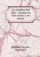 La sombra del hijo : drama en tres actos y en prosa, Medina, Vicente, 1866-1937 