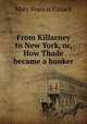 From Killarney to New York, or, How Thade became a banker, Cusack Mary Francis 
