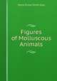 Figures of Molluscous Animals, Maria Emma Smith Gray 