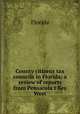 County citizens tax councils in Florida: a review of reports from Pensacola t Key West, Florida 