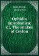 Ophidia taprobanica; or, The snakes of Ceylon, Wall, Frank, 1868-1950 