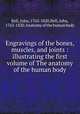 Engravings of the bones, muscles, and joints : illustrating the first volume of The anatomy of the human body, Bell, John, 1763-1820,Bell, John, 1763-1820. Anatomy of the human body 
