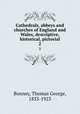 Cathedrals, abbeys and churches of England and Wales, descriptive, historical, pictorial. 2, Bonney, Thomas George, 1833-1923 