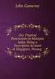 Our Tropical Possessions in Malayan India: Being a Descriptive Account of Singapore, Penang ., John Cameron 