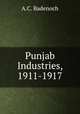 Punjab Industries, 1911-1917, A.C. Badenoch 