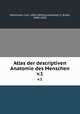 Atlas der descriptiven Anatomie des Menschen. v.1, Heitzmann, Carl, 1836-1896,Zuckerkandl, E. (Emil), 1849-1910 