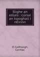 Slighe an elais : crsa an tsaoghail i nirinn, 
