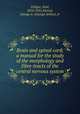 Brain and spinal cord; a manual for the study of the morphology and fibre-tracts of the central nervous system, Villiger, Emil, 1870-1931,Piersol, George A. (George Arthur), tr 