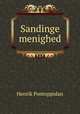 Sandinge menighed, Henrik Pontoppidan 