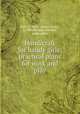 Handicraft for handy girls; practical plans for work and play, Hall, A. Neely (Albert Neely), b. 1883,Perkins, Dorothy, joint author 