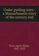 Under guiding stars : a Massachusetts story of the century end, Poor, Agnes Blake, 1842-1922 