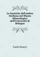 Le formiche dell`ambra Siciliana nel Museo Mineralogico dell`Universit di Bologna, Emery C 