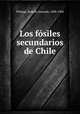Los fsiles secundarios de Chile, Philippi, Rodolfo Amando, 1808-1904 