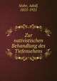 Zur nativistischen Behandlung des Tiefensehens, 