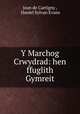 Y Marchog Crwydrad: hen ffuglith Gymreit, Jean de Cartigny , Daniel Sylvan Evans 