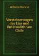 Versteinerungen des Lias und Unteroolith von Chile, 