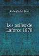 Les asiles de Laforce 1878, Asiles John Bost 
