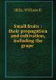 Small fruits : their propagation and cultivation, including the grape, Hills, William H 