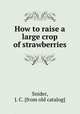 How to raise a large crop of strawberries, Snider, J. C. [from old catalog] 