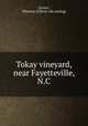 Tokay vineyard, near Fayetteville, N.C, [Green, Wharton J] [from old catalog] 