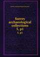 Surrey archaeological collections. 5, p1, Surrey Archaeological Society 