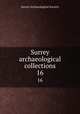 Surrey archaeological collections. 16, Surrey Archaeological Society 
