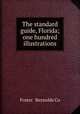 The standard guide, Florida; one hundred illustrations, Foster & Reynolds Co 