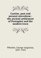 Castine, past and present microform : the ancient settlement of Pentaget and the modern town, Wheeler, George Augustus, 1837-1923 