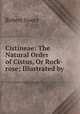 Cistineae: The Natural Order of Cistus, Or Rock-rose; Illustrated by ., Robert Sweet 