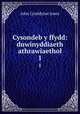 Cysondeb y ffydd: duwinyddiaeth athrawiaethol. 1, John Cynddylan Jones 