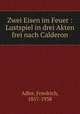 Zwei Eisen im Feuer : Lustspiel in drei Akten frei nach Calderon, Adler, Friedrich, 1857-1938 