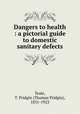 Dangers to health : a pictorial guide to domestic sanitary defects, Teale, T. Pridgin (Thomas Pridgin), 1831-1923 