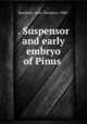 . Suspensor and early embryo of Pinus, Buchholz, John Theodore, 1888- 