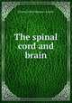 The spinal cord and brain, 