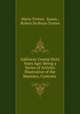 Galloway Gossip Sixty Years Ago: Being a Series of Articles Illustrative of the Manners, Customs ., Maria Trotter, Saxon , Robert De Bruce Trotter 