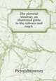 The pictorial itinerary, an illustrated guide to the railways and coach ., Pictorial itinerary 
