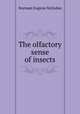 The olfactory sense of insects, Norman Eugene McIndoo 