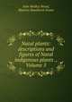 Natal plants: descriptions and figures of Natal indigenous plants ., Volume 5, John Medley Wood, Maurice Smethurst Evans 