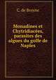 Monadines et Chytridiacees, parasites des algues du golfe de Naples, C. de Bruyne 