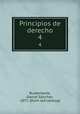 Principios de derecho. 4, Daniel Sa?nchez Bustamante 