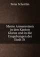 Meine Armenreisen in den Kanton Glarus und in die Umgebungen der Stadt St ., Peter Scheitlin 