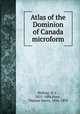 Atlas of the Dominion of Canada microform, Walling, H. F., 1825-1888,Hunt, Thomas Sterry, 1826-1892 