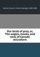 Our birds of prey, or, The eagles, hawks, and owls of Canada microform, Vennor, Henry G. (Henry George), 1840-1884 