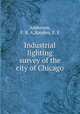 Industrial lighting survey of the city of Chicago, Anderson, F. B. A,Hayden, F. E 