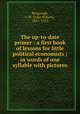 The up-to-date primer : a first book of lessons for little political economists ; in words of one syllable with pictures, Bengough, J. W. (John Wilson), 1851-1923 