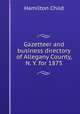 Gazetteer and business directory of Allegany County, N. Y. for 1875, Child, Hamilton, b. 1836 
