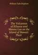 The Volcanoes of Kilauea and Mauna Loa on the Island of Hawaii: Their ., William Tufts Brigham 