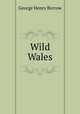 Wild Wales, George Henry Borrow 