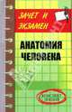 Анатомия человека: Конспект лекций, Буданова Ольга 