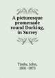A picturesque promenade round Dorking, in Surrey, Timbs, John, 1801-1875 